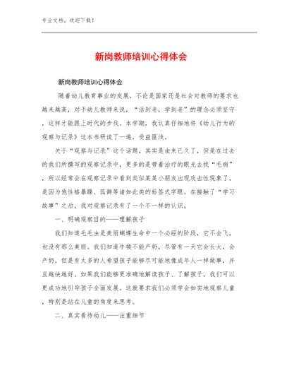 新岗教师培训心得体会例文30篇.docx