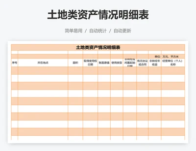 土地类资产情况明细表