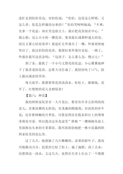 种花作文300字0.docx