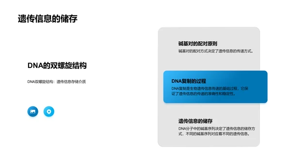 遗传学原理解析PPT模板