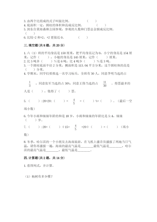 铜陵县六年级下册数学期末测试卷（精练）.docx