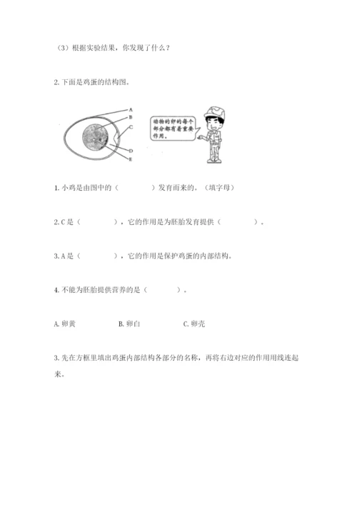 教科版科学三年级下册期末测试卷及完整答案1套.docx