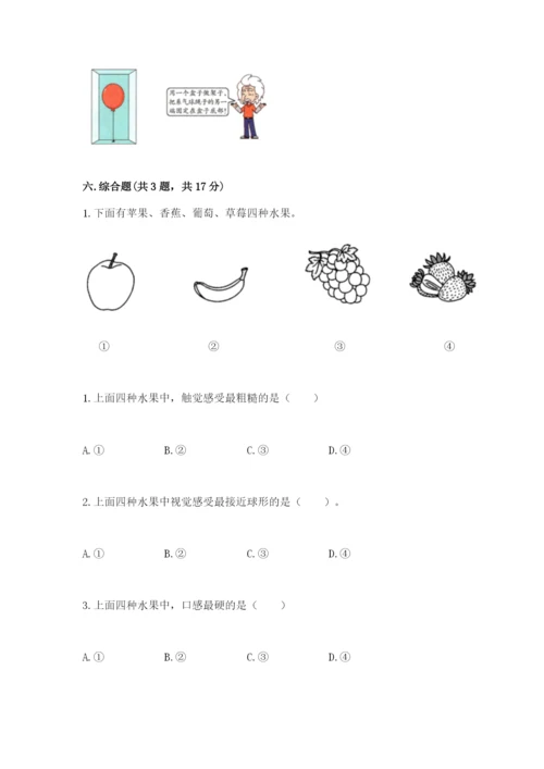 教科版小学科学二年级下册期末测试卷【a卷】.docx