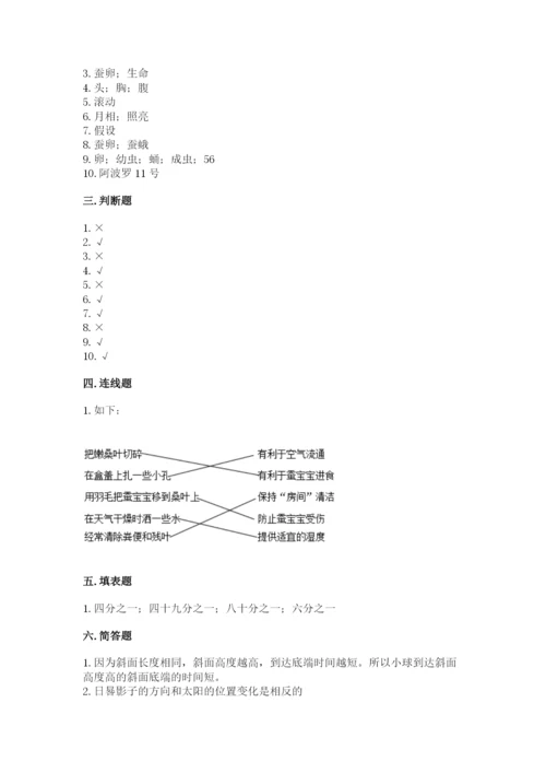 教科版小学科学三年级下册 期末测试卷【夺冠系列】.docx