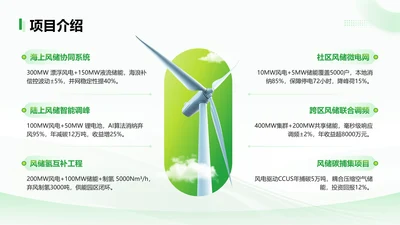 绿色简约风风储项目介绍