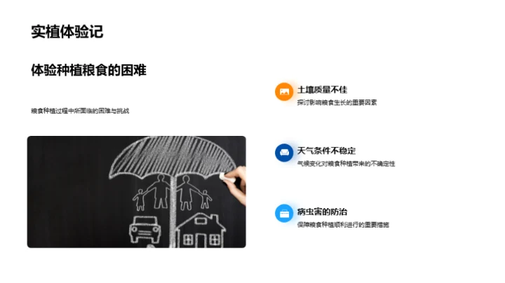 立秋季节与粮食种植