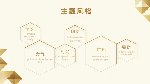 尊贵大气创业融资计划书动态PPT