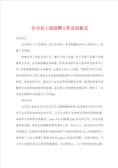 公司员工试用期工作总结格式