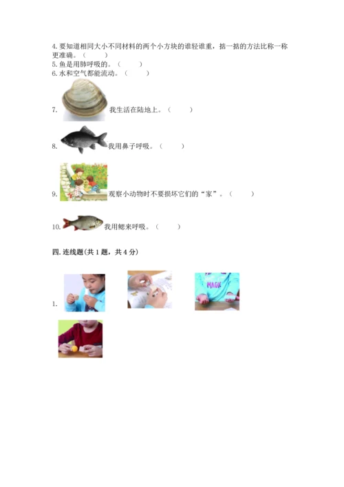 教科版一年级下册科学期末测试卷精品（网校专用）.docx