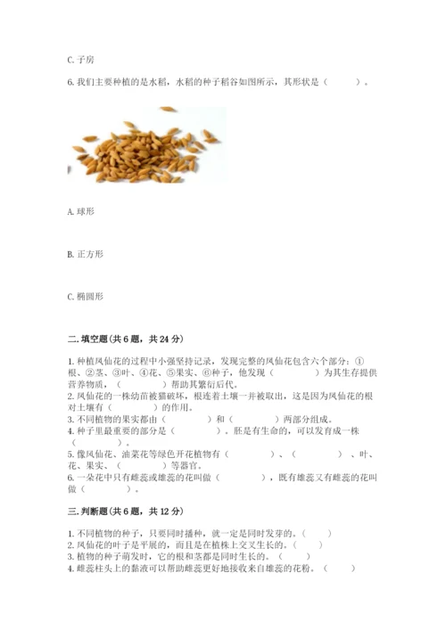 教科版科学四年级下册第一单元《植物的生长变化》测试卷a4版.docx