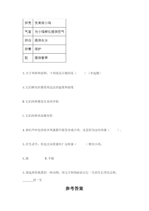 教科版科学三年级下册 期末测试卷及参考答案【研优卷】.docx