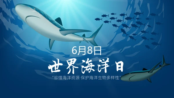 6月8日世界海洋日保护鲨鱼通用PPT模板
