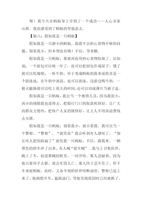 写蚂蚁的作文500字.docx