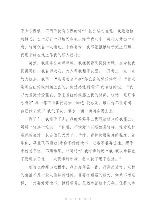 清明节优秀作文600字范文10篇.docx
