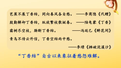 2 丁香结  课件