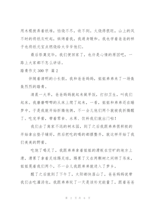 踏青作文300字6篇.docx