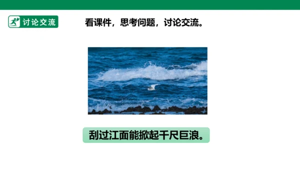 部编1A 第8单元 第11课 会写的字与单元阅读 课件