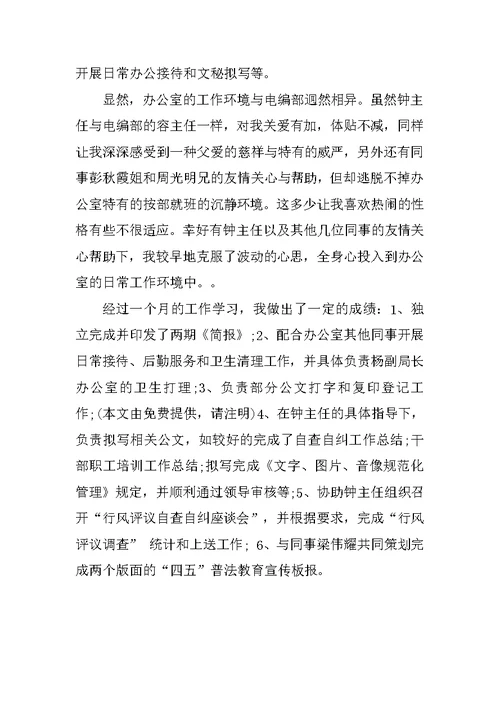 广电试用期工作总结模板