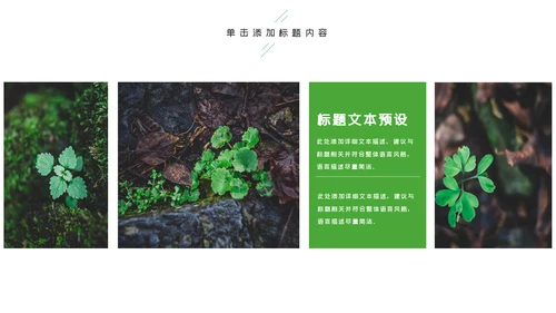 唯美绿色植物发芽植物生长敬畏生命PPT模板