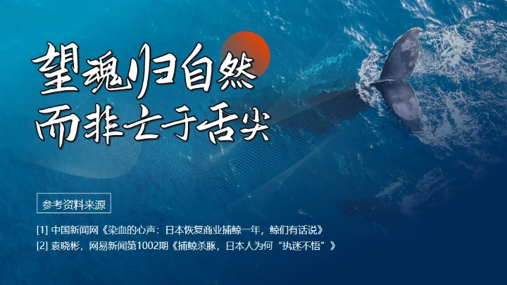 鲸落万物生鲸鱼知识讲座通用PPT模板