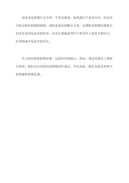 怎么种植小妙招