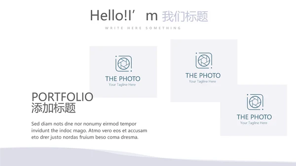 法律总结动态PPT