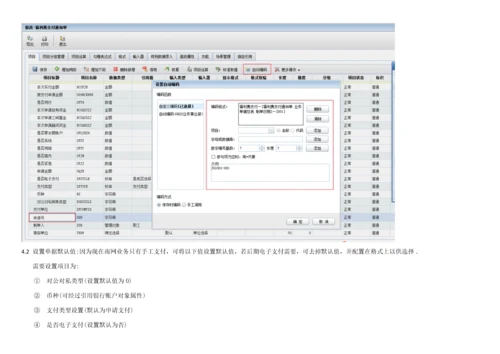 Plus版本资金支付配置手册模板.docx