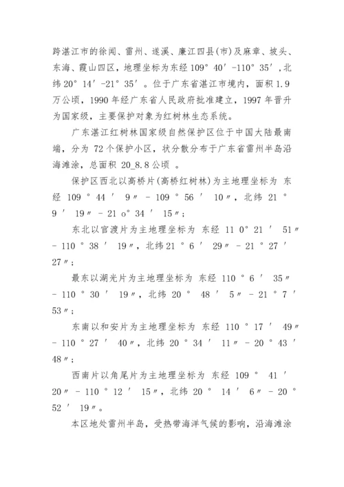 广东的红树林导游词.docx