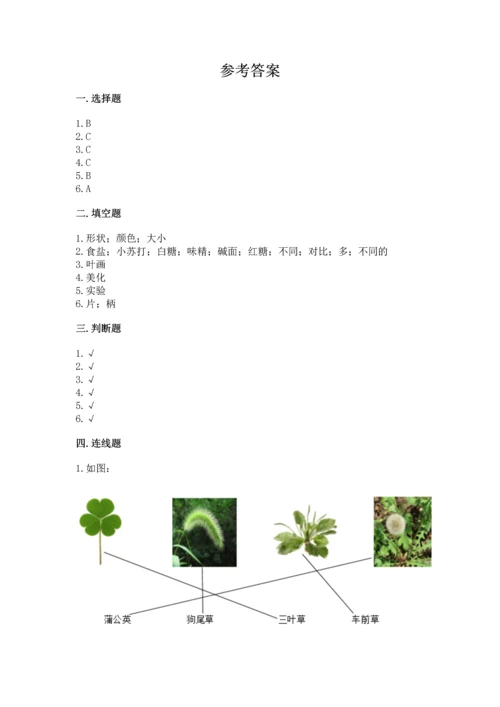 教科版科学一年级上册第一单元《植物》测试卷（黄金题型）.docx