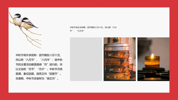 欢度中秋茶话会PPT模板