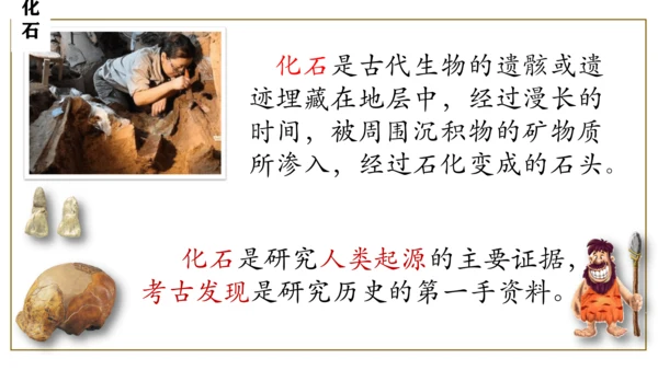 第1课 中国境内早期人类的代表—北京人  课件