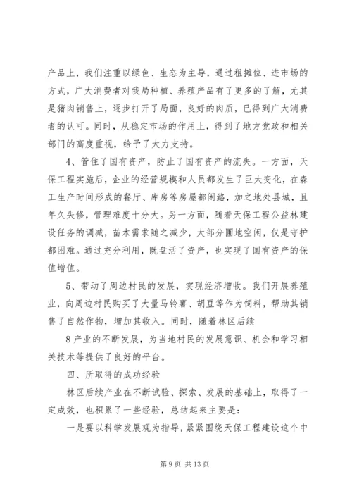 后续产业发展报告.docx