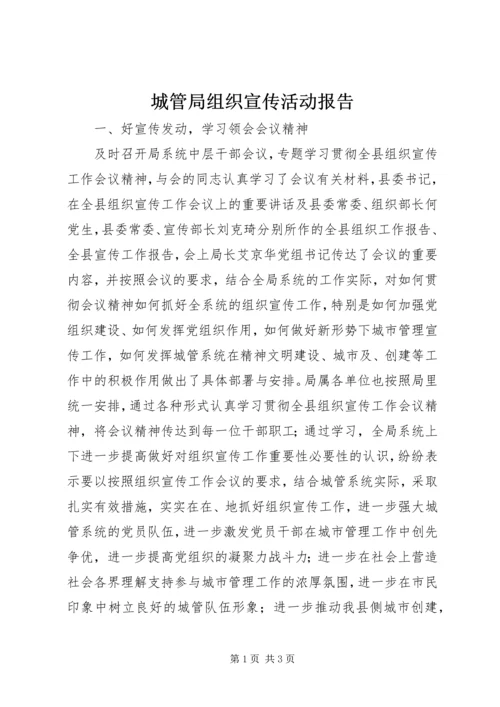 城管局组织宣传活动报告.docx