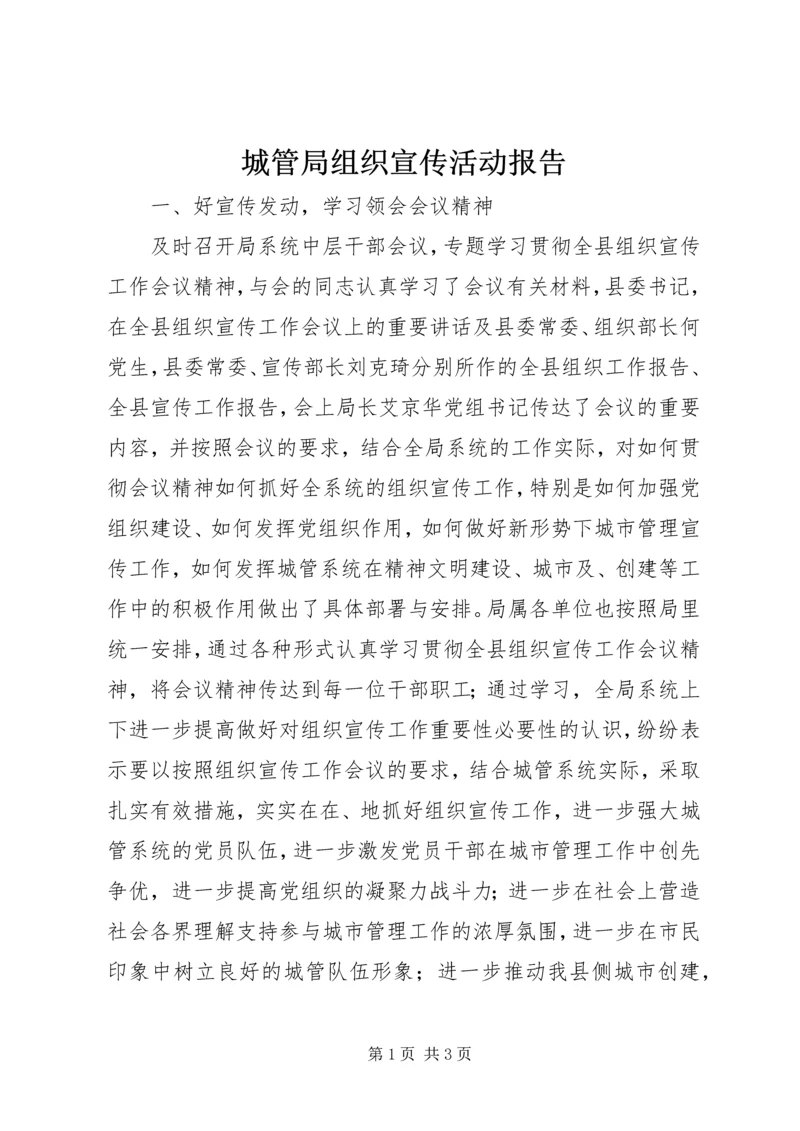 城管局组织宣传活动报告.docx