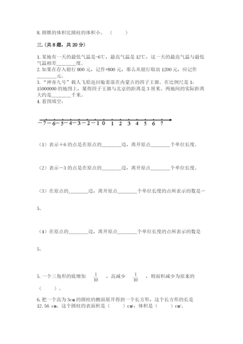 苏教版小升初数学模拟试卷（精练）.docx