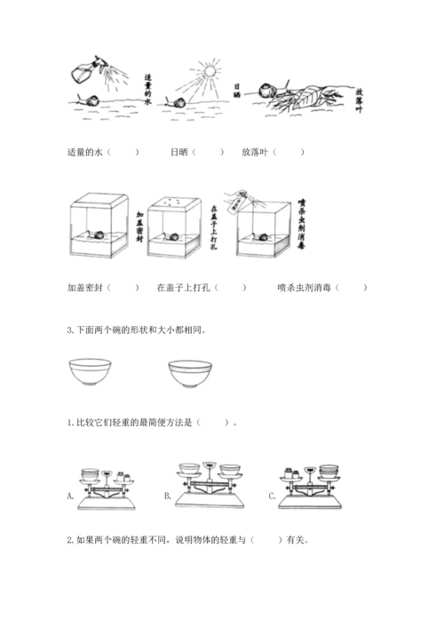 教科版一年级下册科学期末测试卷及答案【夺冠】.docx