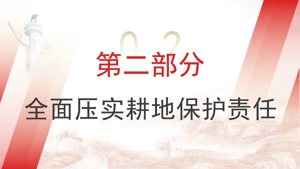 关于加强耕地保护提升耕地质量完善占补平衡的意见全文学习PPT课件