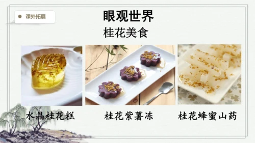 部编版五年级上册语文 3 桂花雨 课件