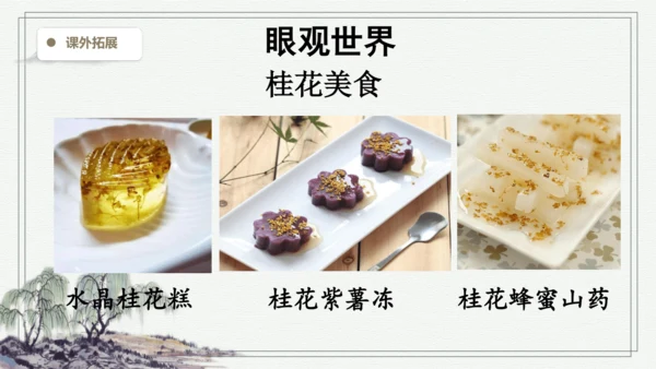 部编版五年级上册语文 3 桂花雨 课件