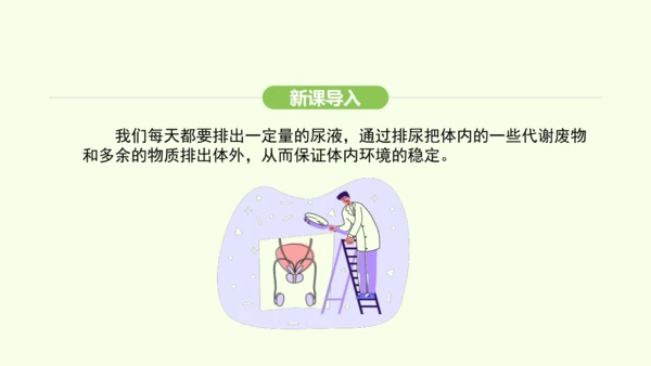 第四单元-第五章-人体内废物的排出课件-2024-2025学年七年级生物下学期人教版(2024)(共