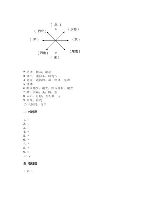 教科版小学科学三年级下册期末测试卷【夺冠系列】.docx