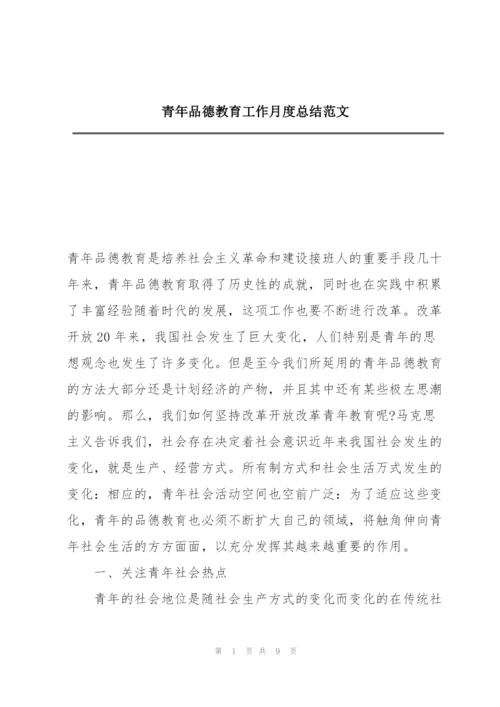 青年品德教育工作月度总结范文.docx