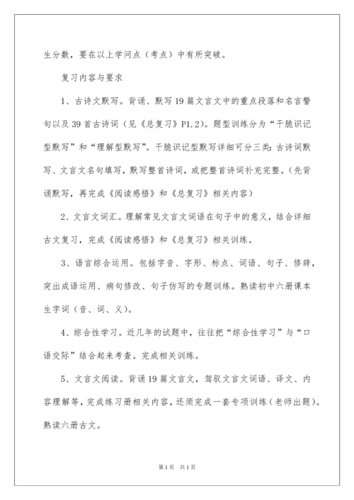 2022中考语文复习教学计划.docx