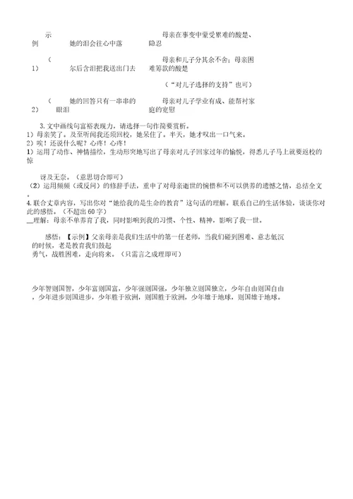 4《列夫托尔斯泰》导的学案教师版本附答案