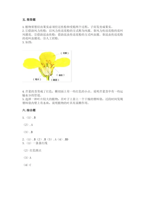 科学四年级下册第一单元植物的生长变化测试卷含完整答案【易错题】.docx