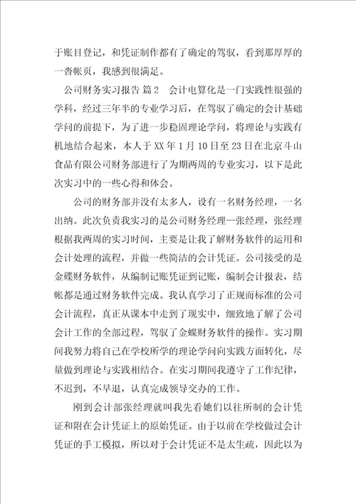 2023年件技术服务公司财务实习报告
