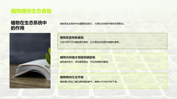 植物的奥秘世界