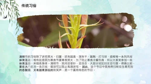 清明节起源习俗文化介绍通用PPT模板
