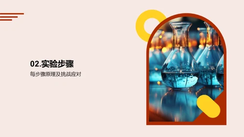 实验探究之旅