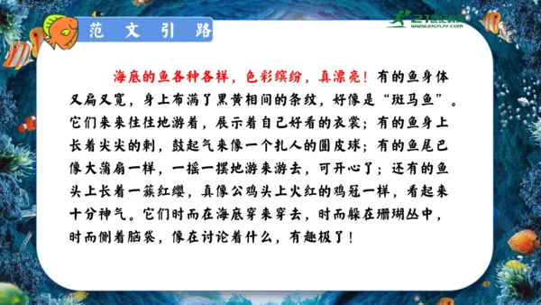 18.富饶的西沙群岛  课件